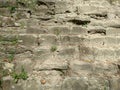 Stone bricks similar to pyramid blocks for background Wall with plants Royalty Free Stock Photo