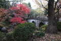 The stone bridge and autumn leaves in Otani-Hombyo, Kyoto, Japan Royalty Free Stock Photo