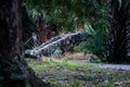 a stone bridge crosses a wooded path in the woods of a garden Royalty Free Stock Photo