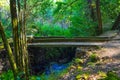 Stone bridge crossing a small river in middle of a green forest Royalty Free Stock Photo