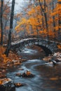 Stone Bridge Crossing Stream in Forest Royalty Free Stock Photo