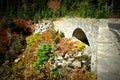 Stone bridge in fall colors, Mt. Rainier National Park