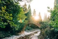 Stone Bridge in the forest. The park Milocer Royalty Free Stock Photo