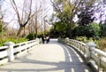 A stone bridge of Fuxing Park Royalty Free Stock Photo