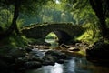 A stone bridge gracefully arches over a gentle stream, creating a serene pathway in the midst of a lush forest, An old stone
