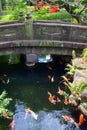 Stone bridge in Japanese garden over koi carp pond Royalty Free Stock Photo