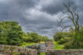 Stone bridge, large dead tree and wooden paddle boats moored in row on river Royalty Free Stock Photo