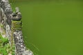 Stone bridge with lion and green pond Royalty Free Stock Photo