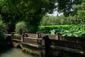 Stone bridge in lotus pond on sunny summer day Royalty Free Stock Photo