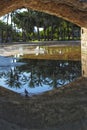 Stone bridge and reflections in a park puddle Royalty Free Stock Photo