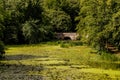 Stone bridge of the river Stour in Blandford Forum in Dorset, UK.