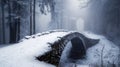 Stone Bridge in a Snowy and Foggy Forest Royalty Free Stock Photo