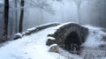 A Stone Bridge in a Snowy and Foggy Forest Royalty Free Stock Photo