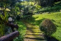 Stone bridge in tropical rain forest Royalty Free Stock Photo