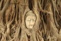 Stone budda head traped in the tree roots at Wat Mahathat, Thailand