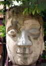 Stone Buddha face