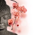 Stone Buddha face and red orchid flower Royalty Free Stock Photo