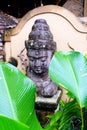 Stone Buddha head with huge tropical leaves at the forefront