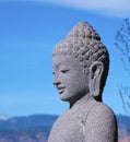 Stone Buddha Head in Near Profile Royalty Free Stock Photo