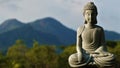 A stone Buddha in the lotus position with his eyes closed meditates against the sky