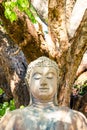 Stone Buddha sculpture meditating with closed eyes outdoors under trees with dappled sunlight over it. Royalty Free Stock Photo