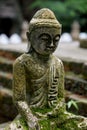 Stone Buddha statue with moss close up