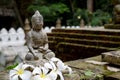 Stone Buddha statue with moss and Frangipani flowers Royalty Free Stock Photo
