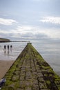 Stone built groyne on the English coast of Walton