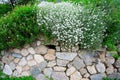 Stone-built wall and plants