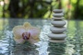 Stone cairn on green blurry background, light pebbles and stones, orchid blooming flower Royalty Free Stock Photo