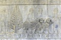 Stone carved reliefs of ancient ruin city of Persepolis Iran Royalty Free Stock Photo