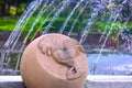 Stone carved into various animal shapes Beside the pool