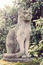 Stone cat statue in the pet cemetery of Paris in AsniÃÂ¨res-sur-Seine, France. Royalty Free Stock Photo