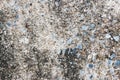 Cement background surface Royalty Free Stock Photo