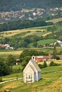 Stone church in green nature Royalty Free Stock Photo