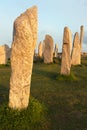 Stone circle in evening light Royalty Free Stock Photo
