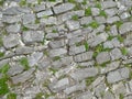 Stone Cobbled floor with grass growing in between.