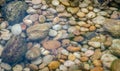 Stone colorful pebble under water with small fish Royalty Free Stock Photo