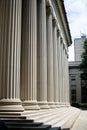 Stone columns of a University