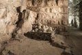 Stone cores in one of the halls of Ajloun Castle, also known as Qalat ar-Rabad, is a 12th-century Muslim castle situated in northw