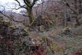 Stone Cottage Ruins