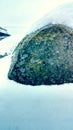 Stone cover moss & snow. Royalty Free Stock Photo