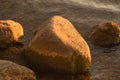 Stone covered with dry ooze Royalty Free Stock Photo