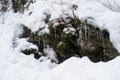 Stone covered with moss and snow in the mountains Royalty Free Stock Photo
