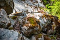 Stone covered red with green moss Royalty Free Stock Photo