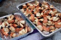 Stone crab claws Royalty Free Stock Photo