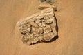 Stone with cracks lying on the sand.Sea coast.