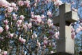 Stone cross, catholic religion symbol with magnolia flower tree background Royalty Free Stock Photo