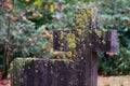 Stone cross on historic cemetery in Lommel, Belgium Royalty Free Stock Photo