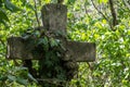 stone cross with ivy